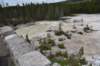 dsc_1102_fs_small.jpg
