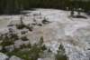 dsc_1103_fs_small.jpg