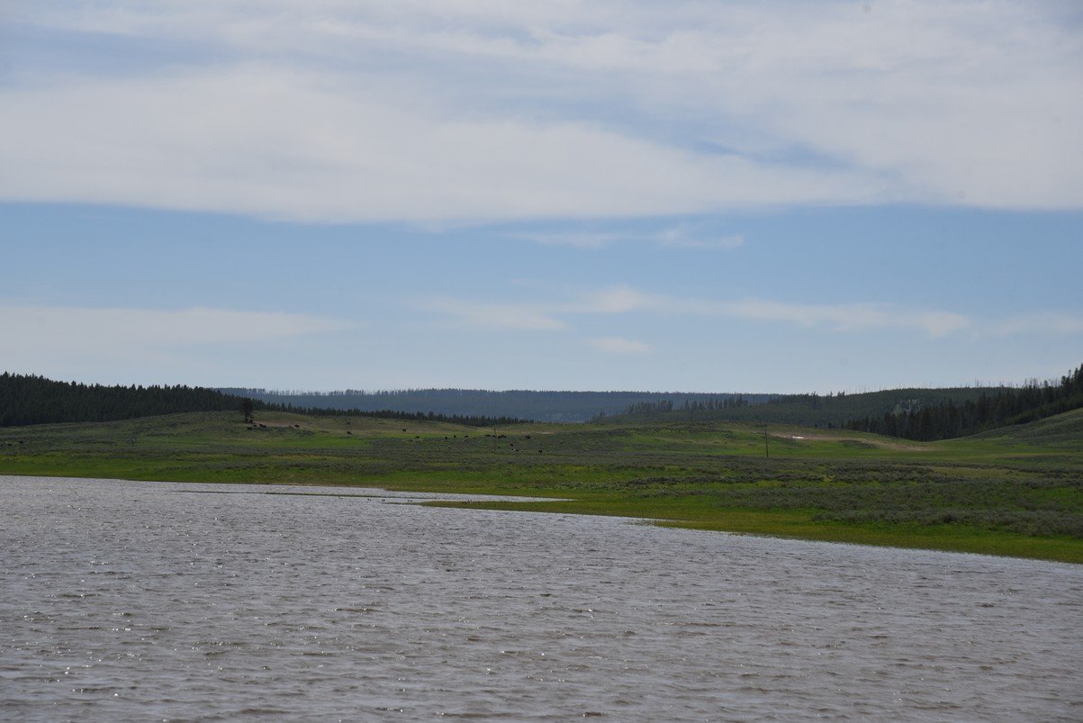 dsc_1123_fs.jpg