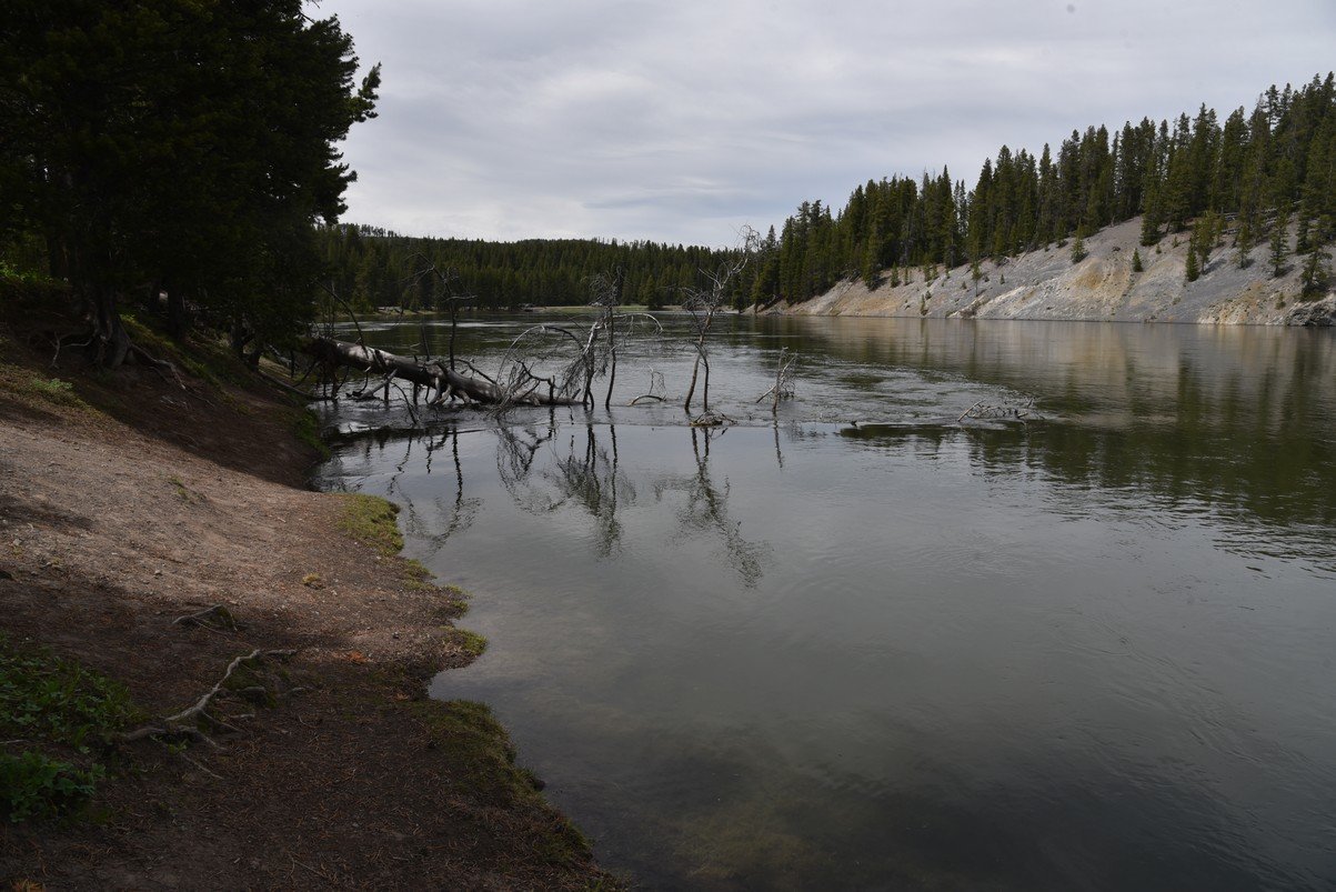dsc_1127_fs.jpg