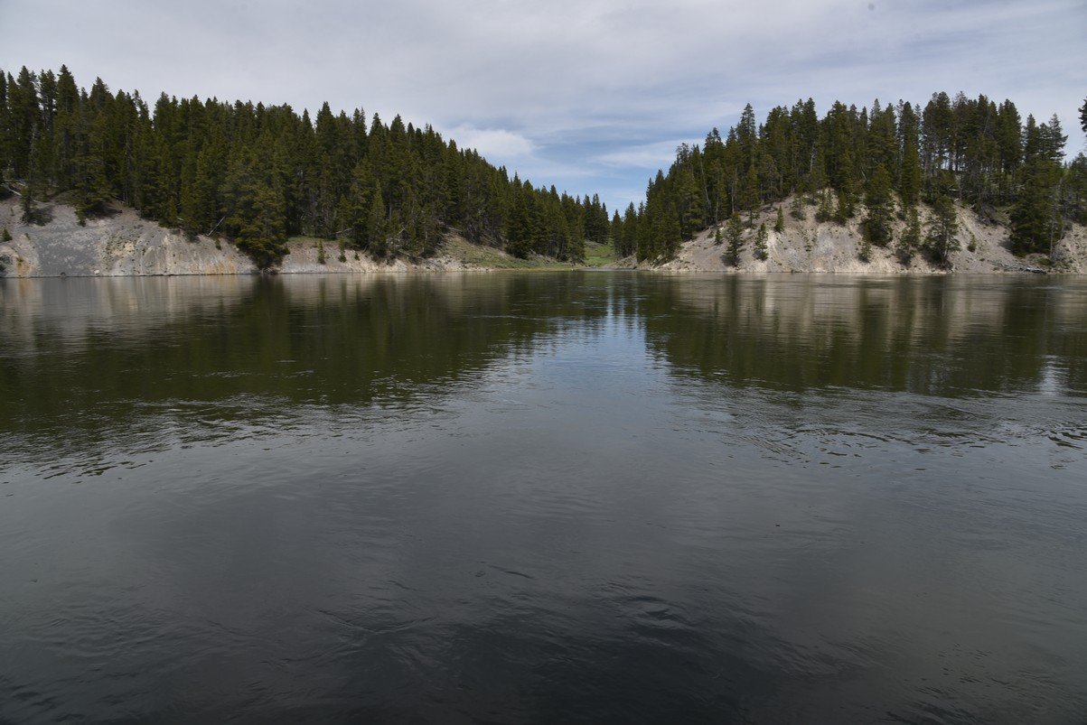 dsc_1130_fs.jpg