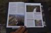 dsc_1139_fs_small.jpg