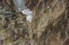 dsc_1161_fs_small.jpg