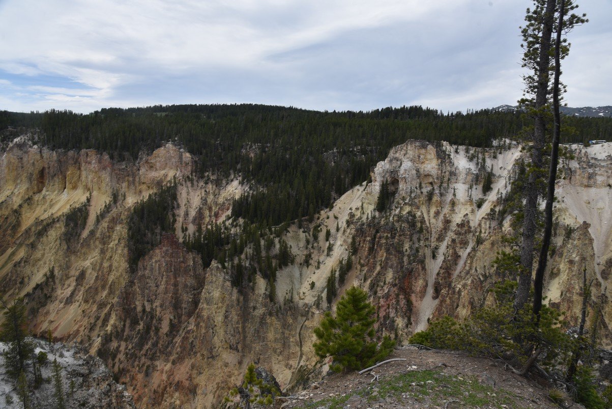 dsc_1176_fs.jpg