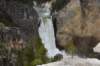 dsc_1191_fs_small.jpg
