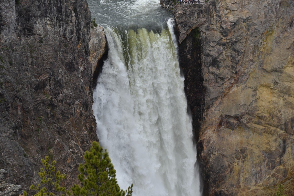 dsc_1194_fs.jpg