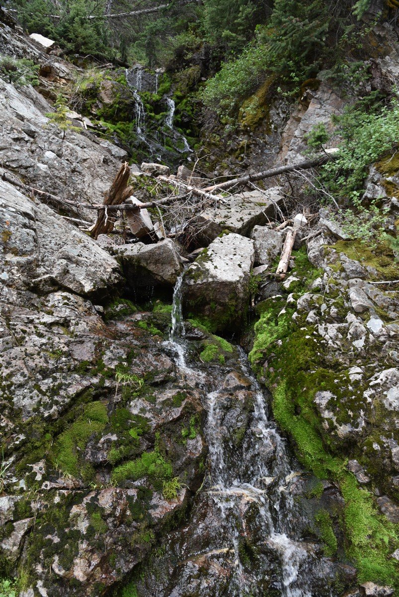 dsc_1203_fs.jpg