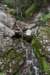 dsc_1203_fs_small.jpg