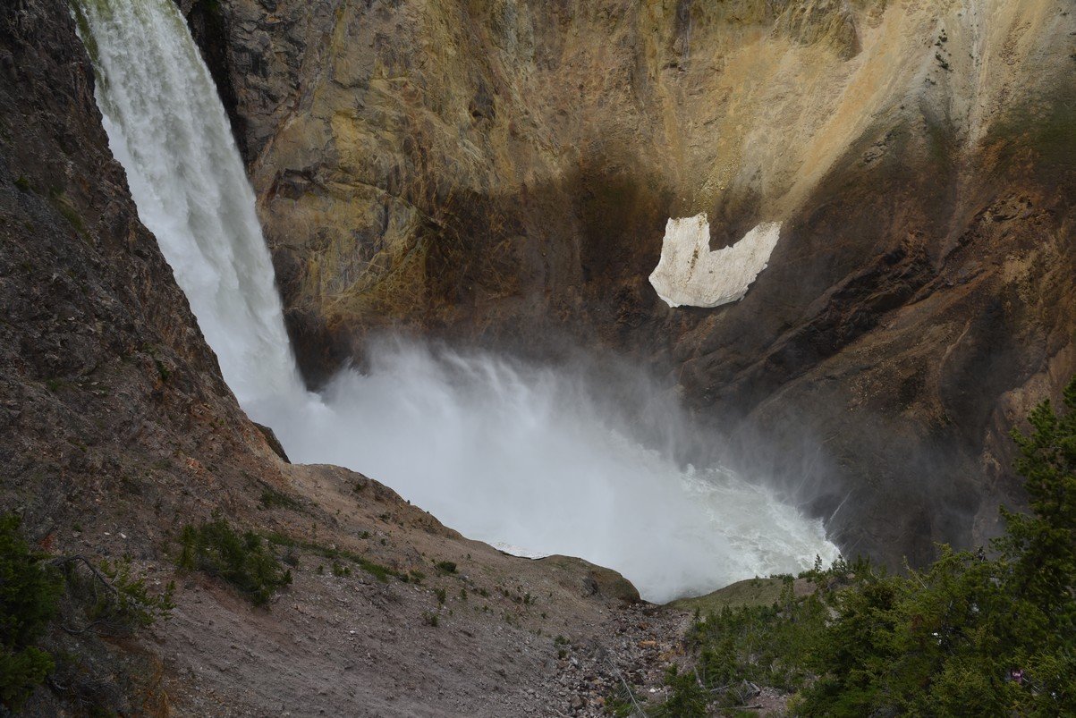 dsc_1207_fs.jpg