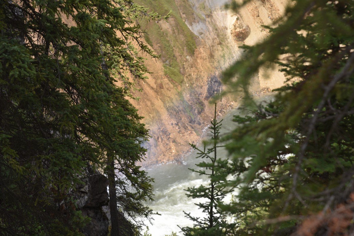 dsc_1237_fs.jpg
