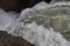 dsc_1248_fs_small.jpg