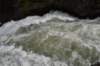 dsc_1249_fs_small.jpg