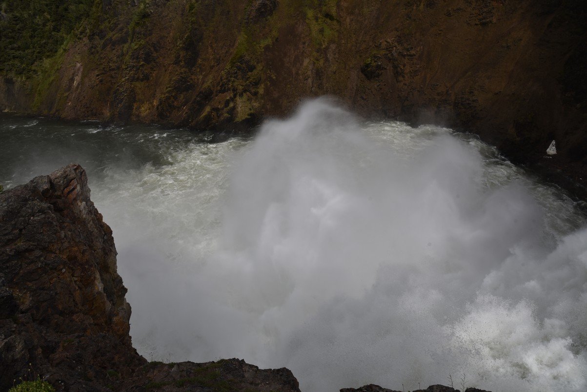 dsc_1254_fs.jpg