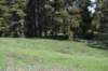 dsc_1275_fs_small.jpg