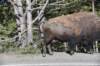 dsc_1281_fs_small.jpg