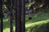 dsc_1282_fs_small.jpg