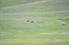dsc_1285_fs_small.jpg