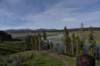 dsc_1288_fs_small.jpg