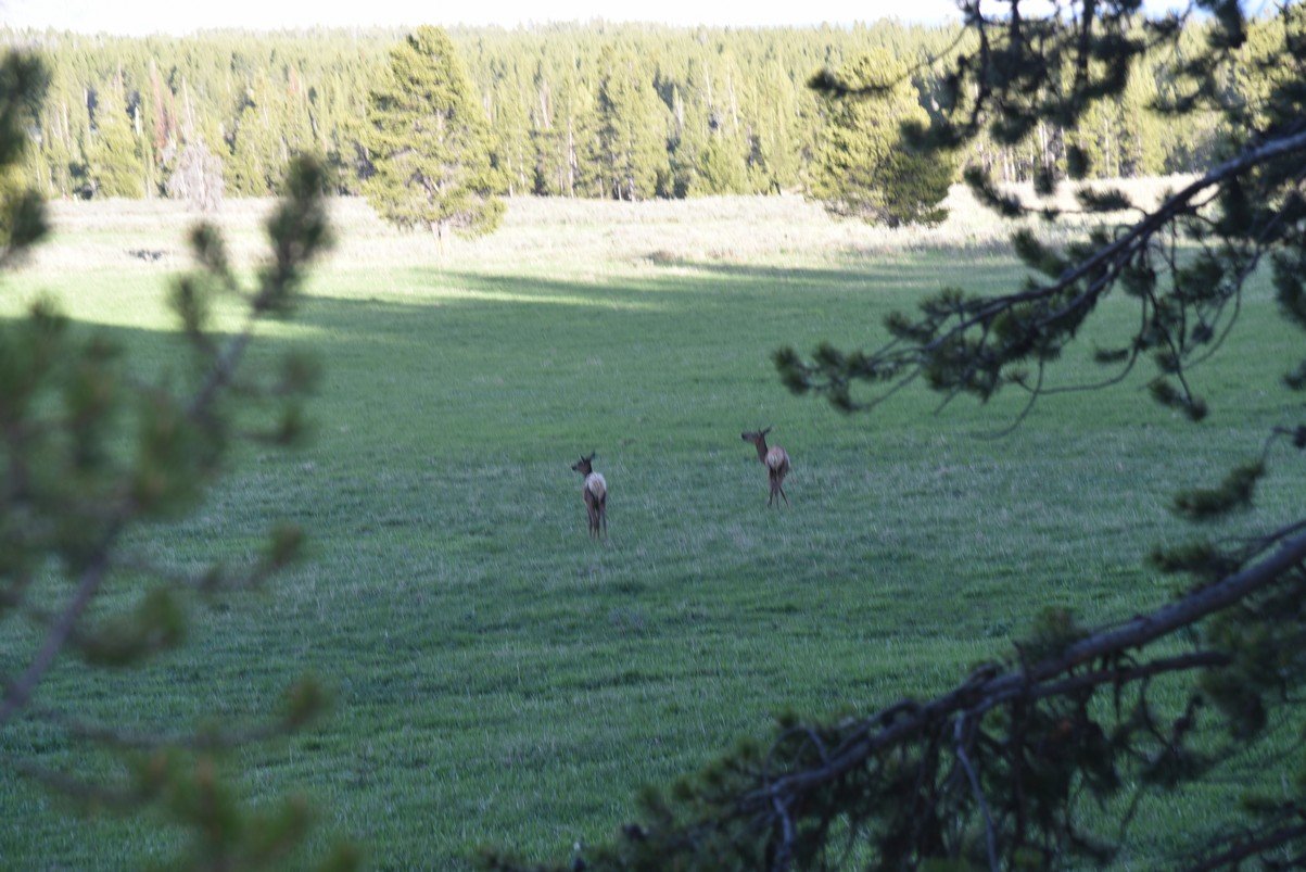 dsc_1305_fs.jpg