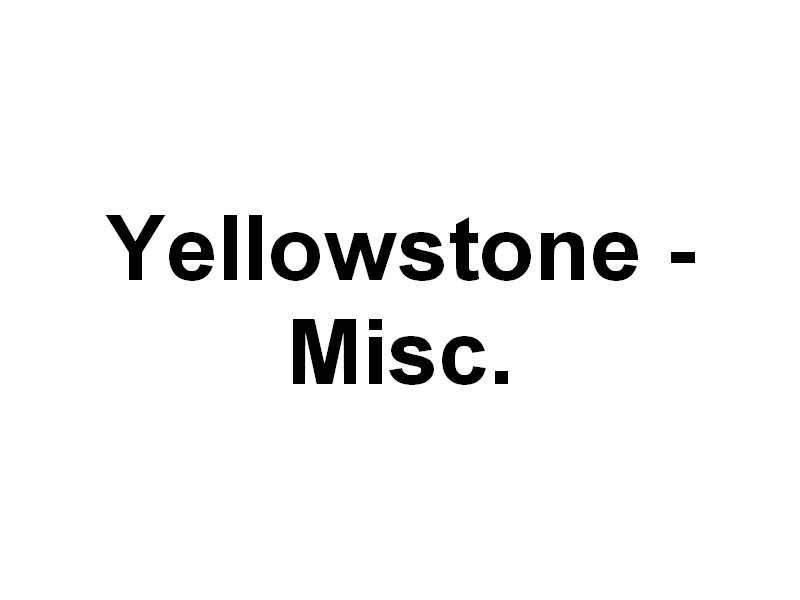 misc.jpg