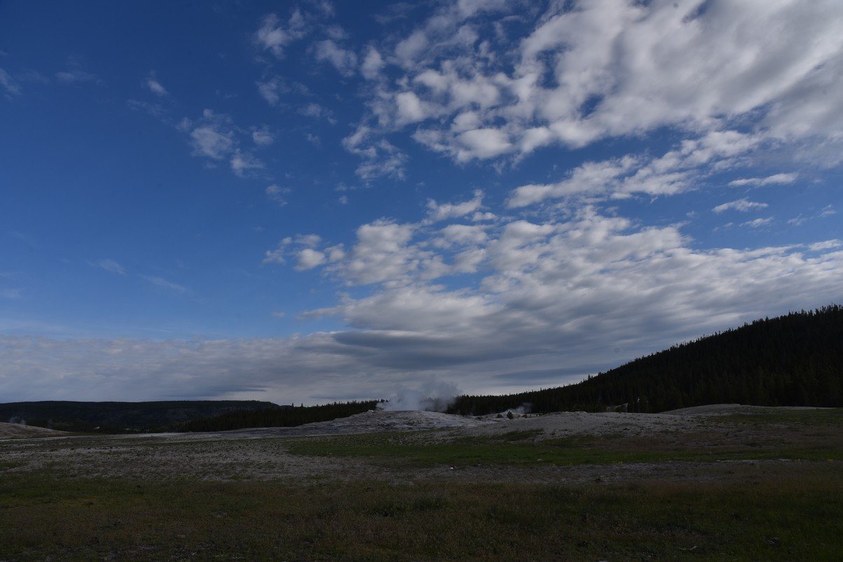 dsc_1324_fs.jpg