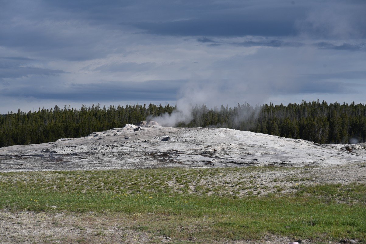 dsc_1330_fs.jpg