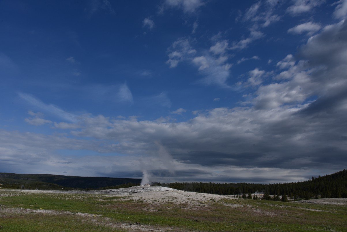 dsc_1335_fs.jpg