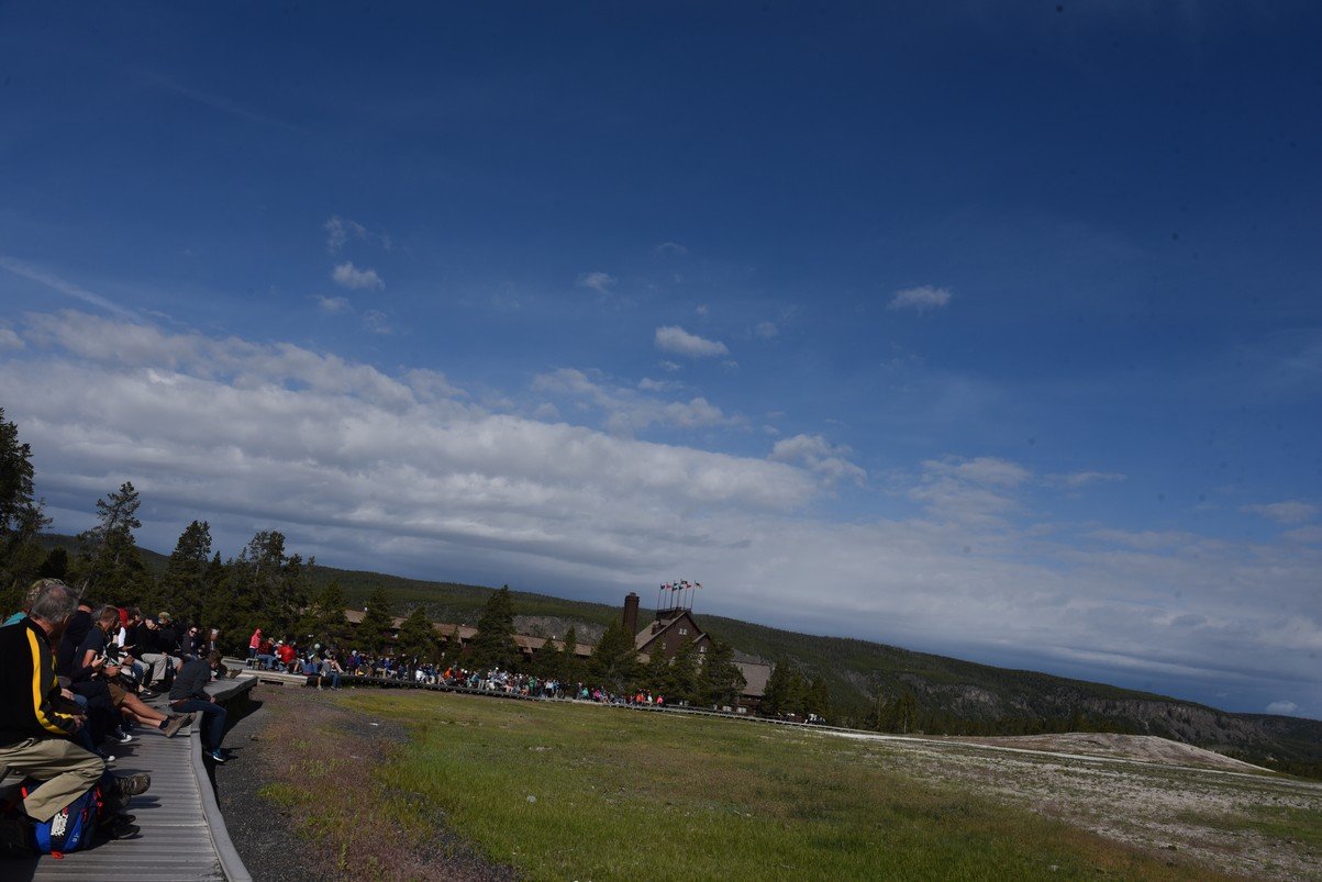 dsc_1337_fs.jpg