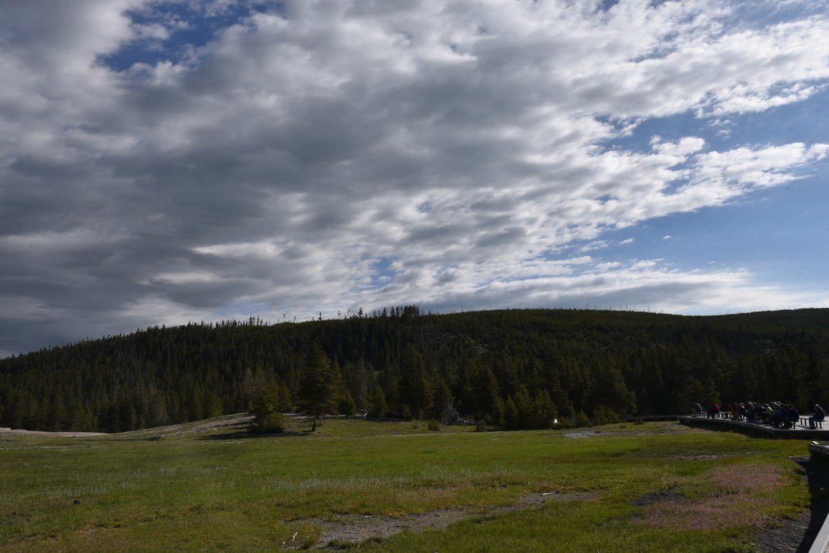 dsc_1341_fs.jpg