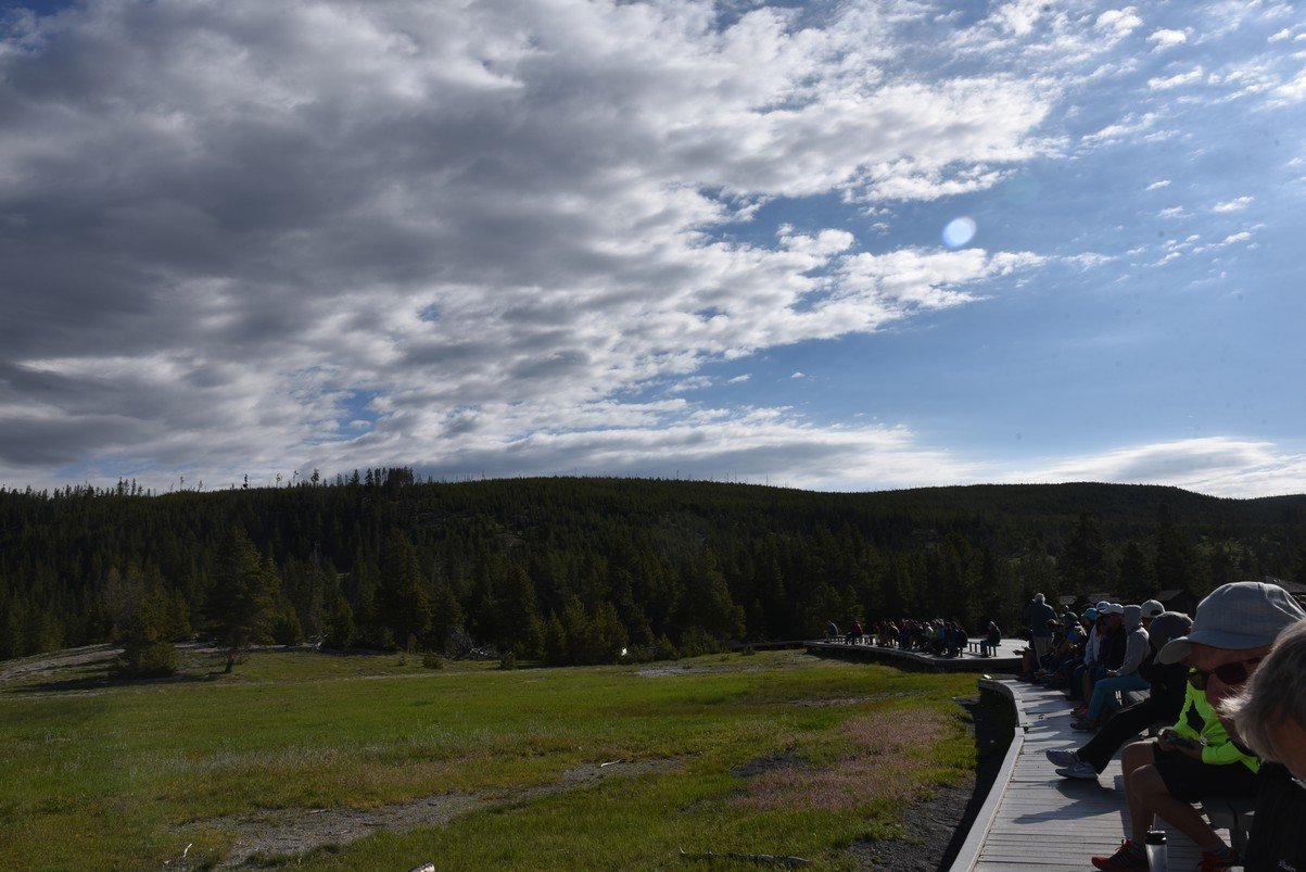 dsc_1342_fs.jpg