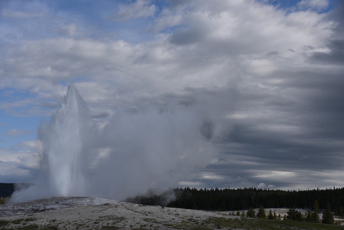 dsc_1347_fs.jpg