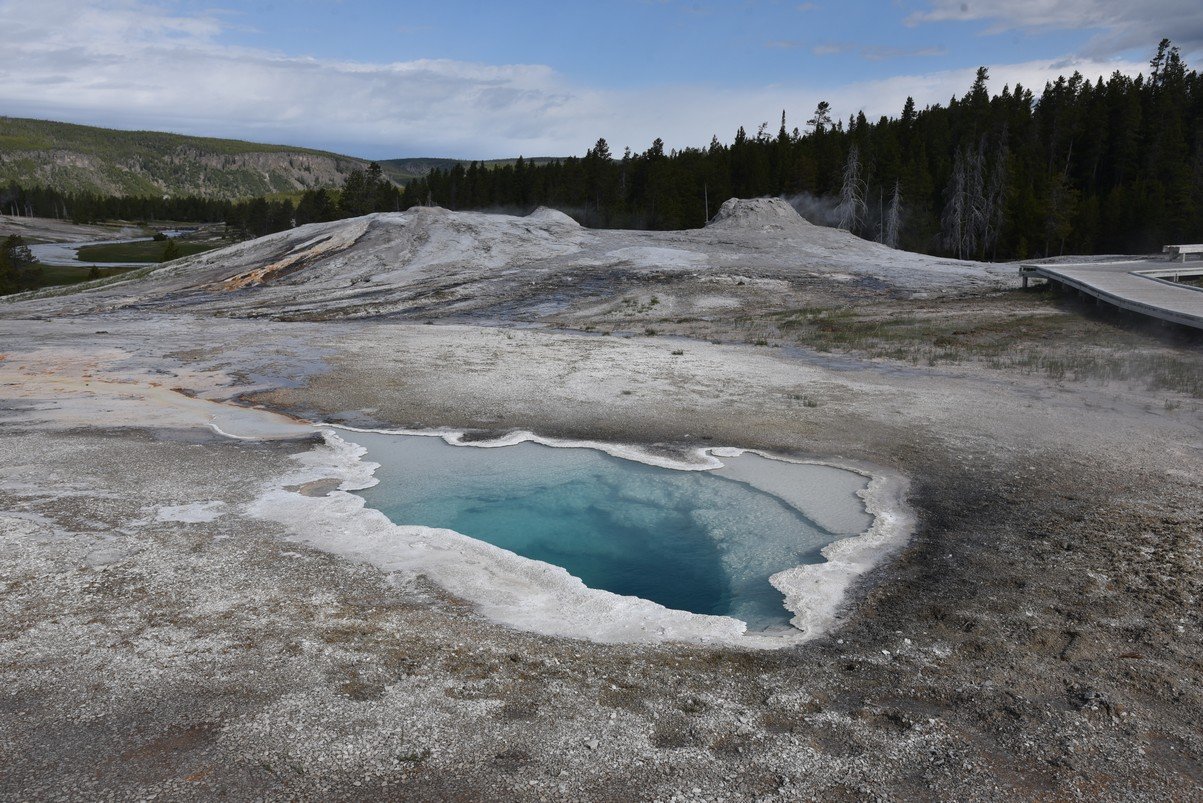 dsc_1415heartspring.jpg