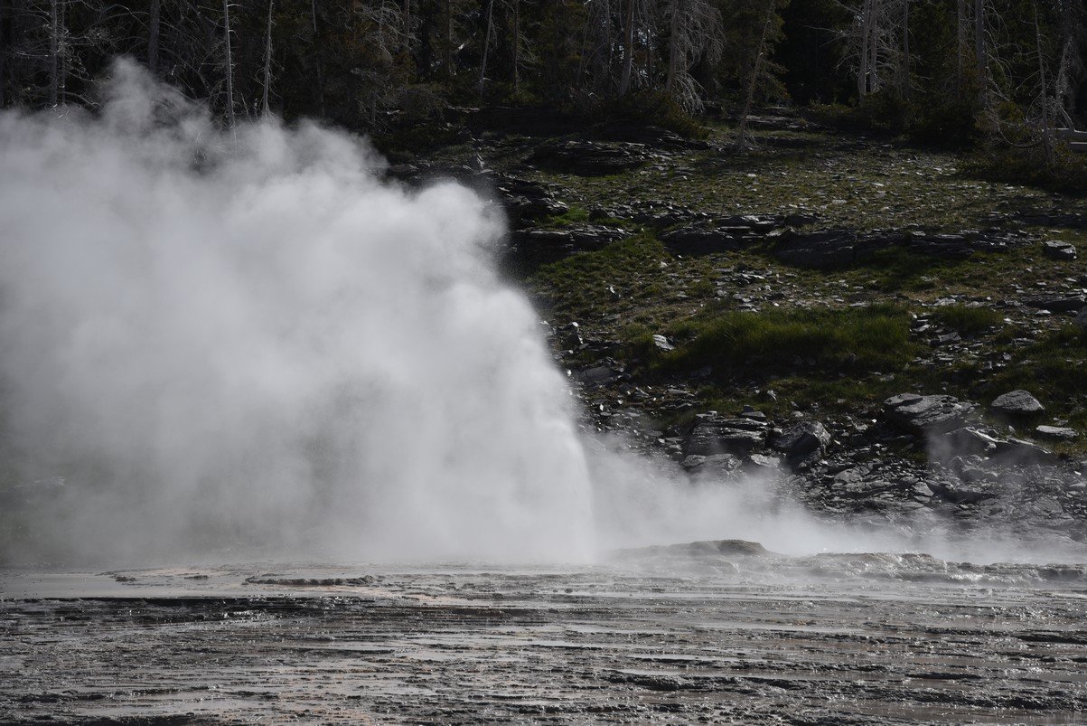 dsc_1471_fs.jpg