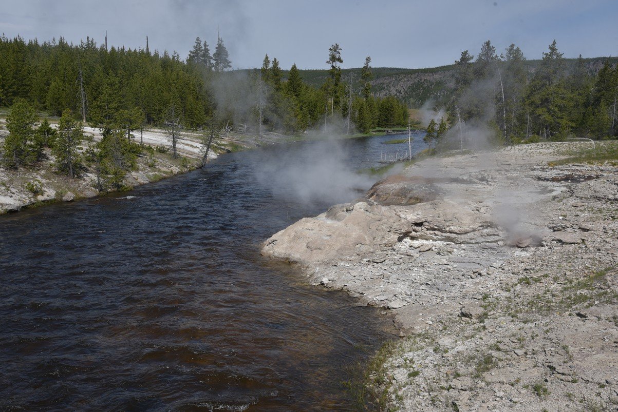 dsc_1551_fs.jpg