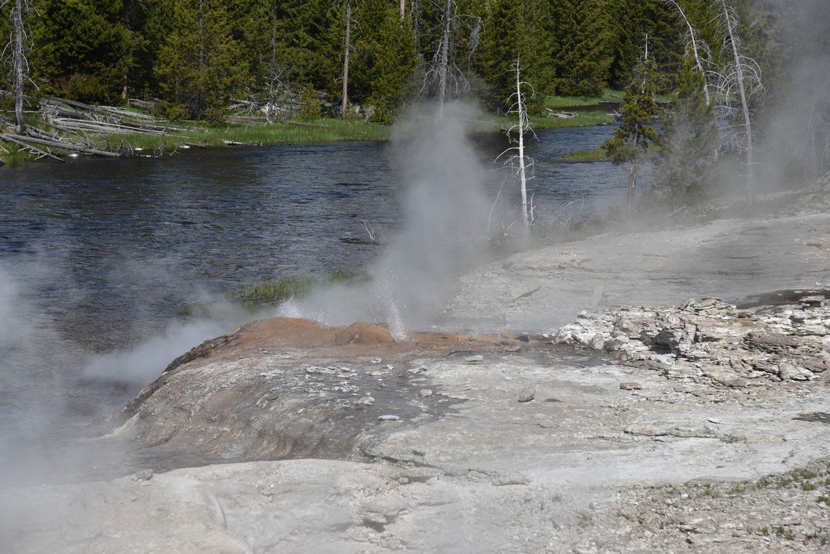 dsc_1554_fs.jpg