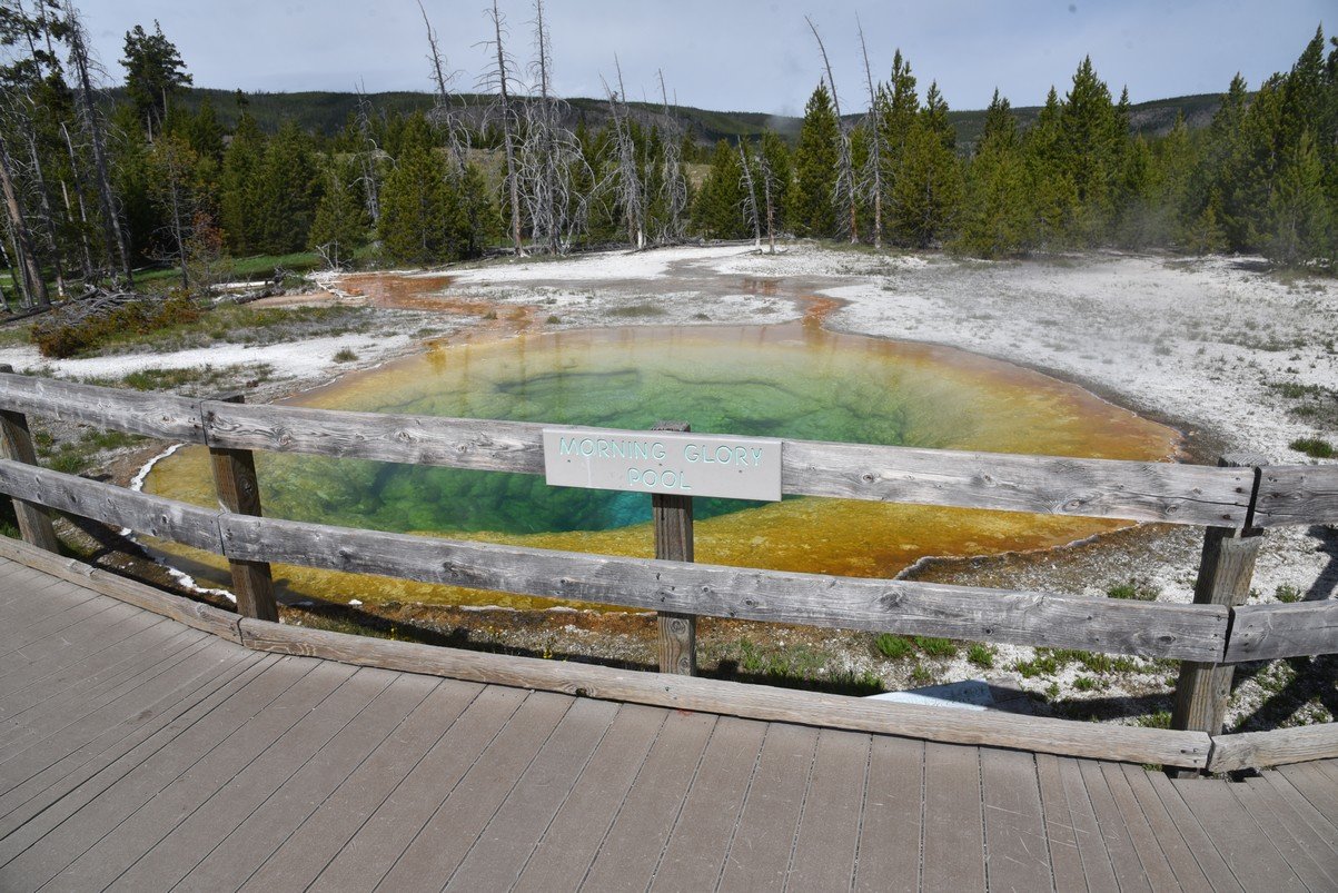 dsc_1561morningglorypool.jpg