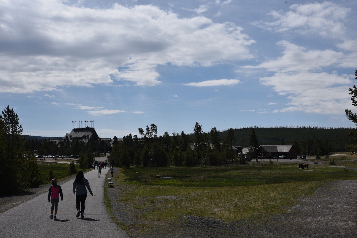 dsc_1589_fs.jpg