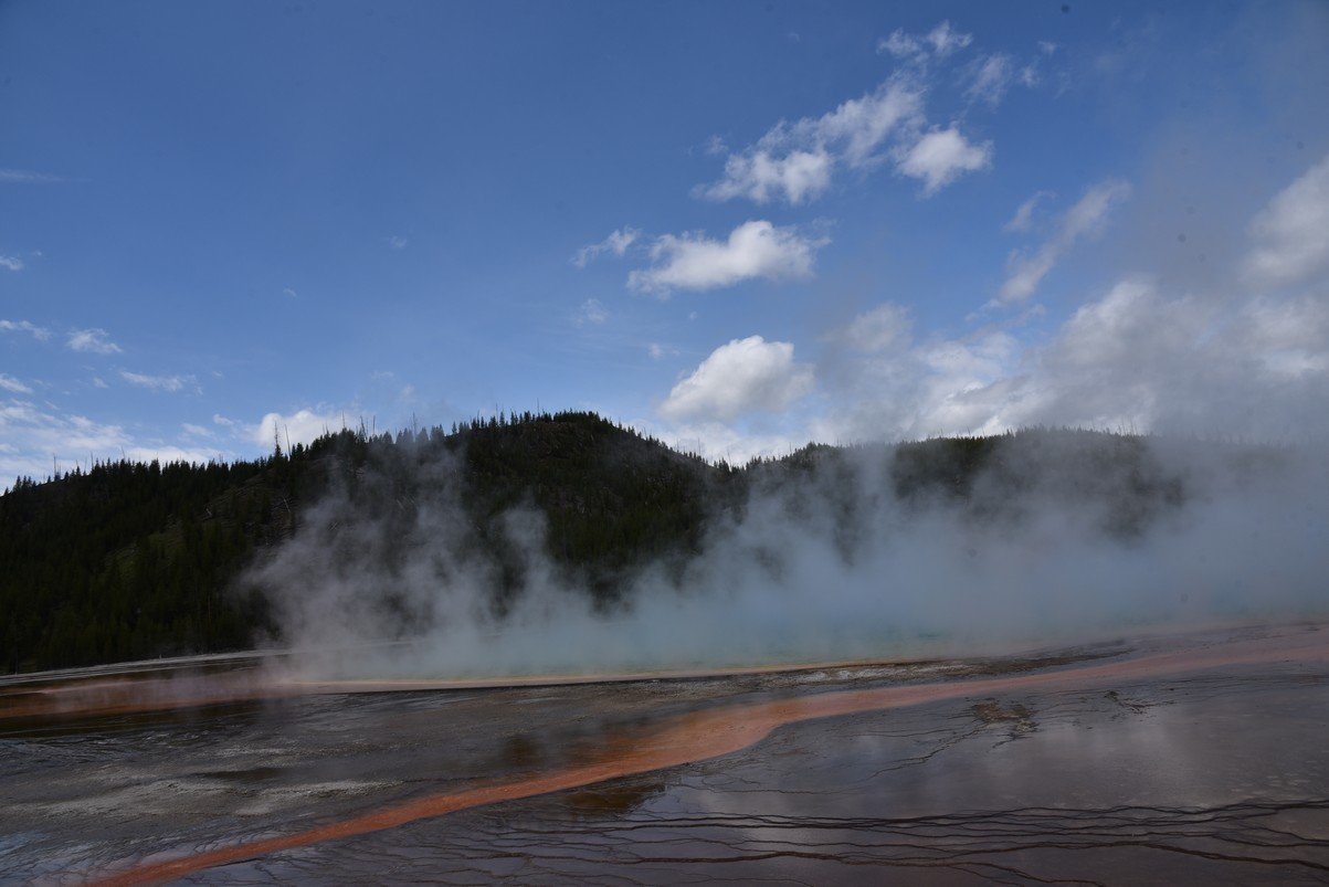 dsc_1703_fs.jpg