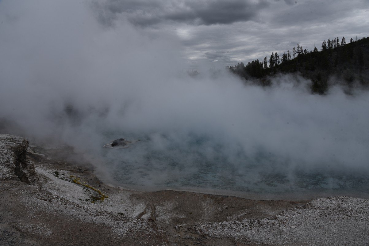 dsc_1742_fs.jpg