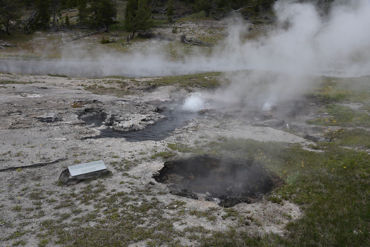 dsc_1791younghopefulgeyser.jpg