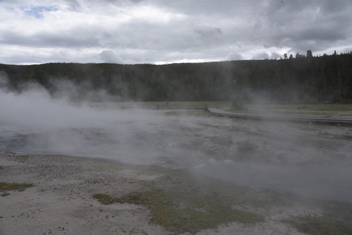 dsc_1811_fs.jpg