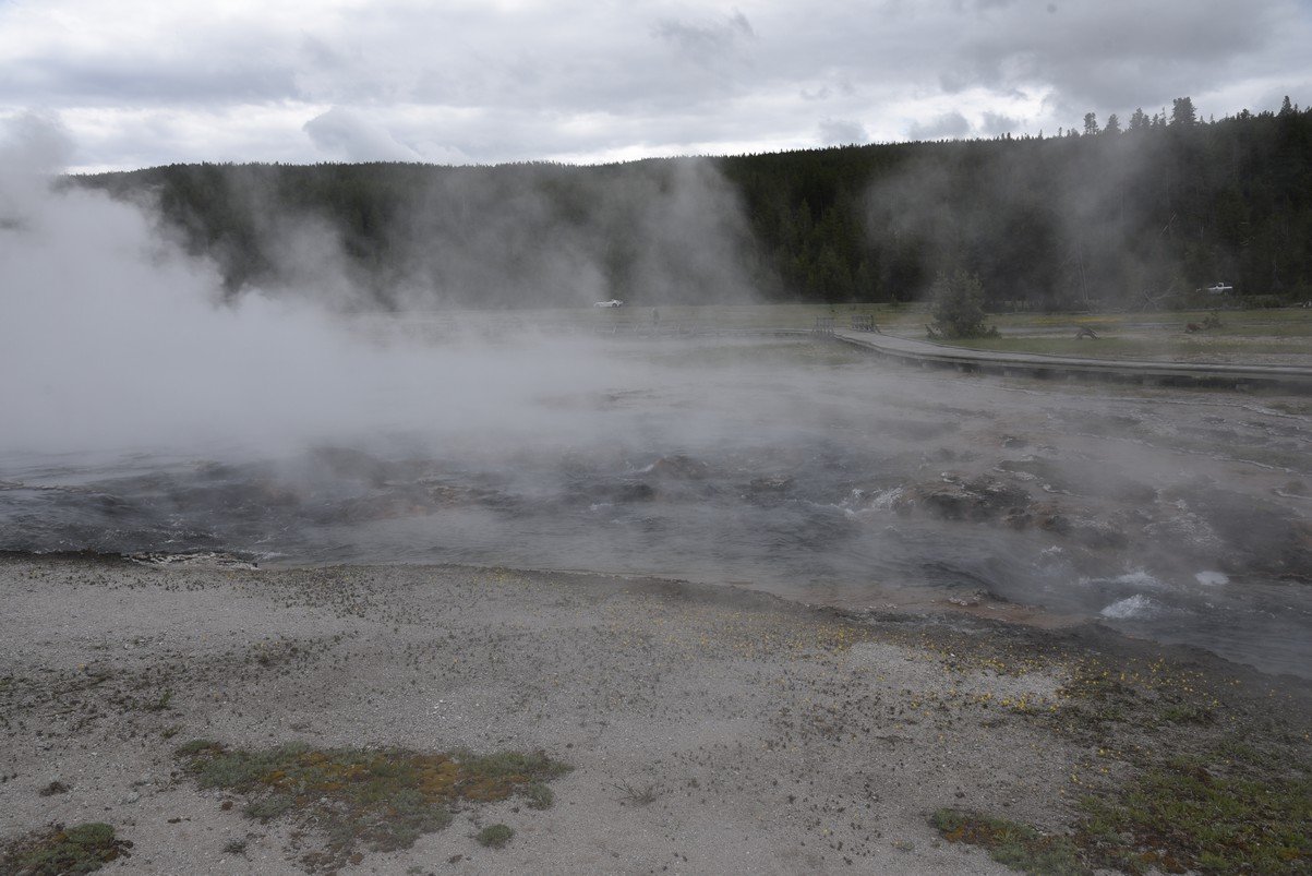 dsc_1814_fs.jpg