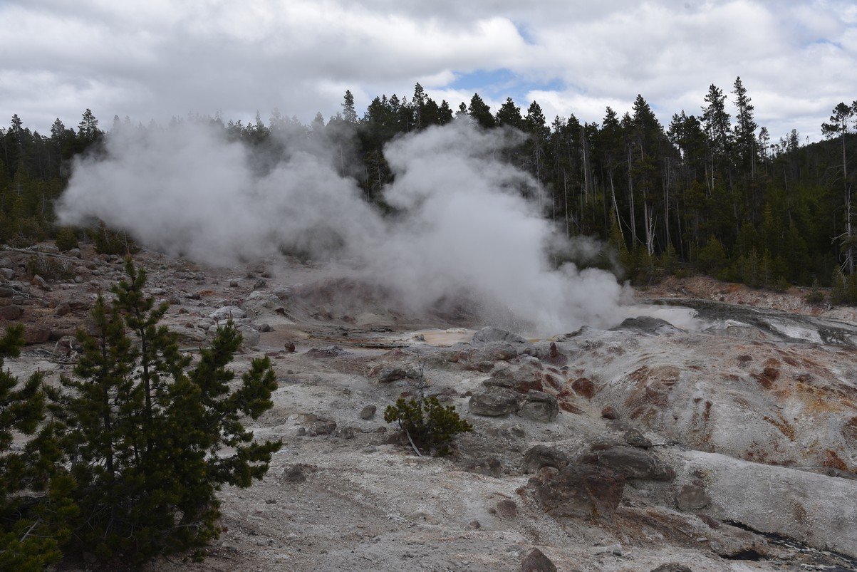 dsc_1916_fs.jpg