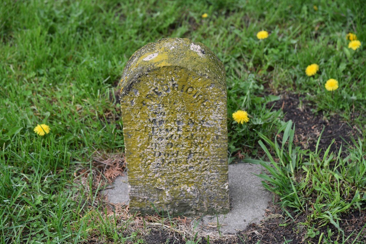 dsc_3493_fs.jpg