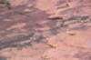 dsc_3678_fs_small.jpg
