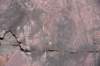 dsc_3680_fs_small.jpg