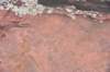 dsc_3688_fs_small.jpg