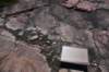dsc_3690_fs_small.jpg