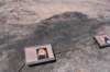 dsc_3691_fs_small.jpg