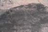 dsc_3693_fs_small.jpg